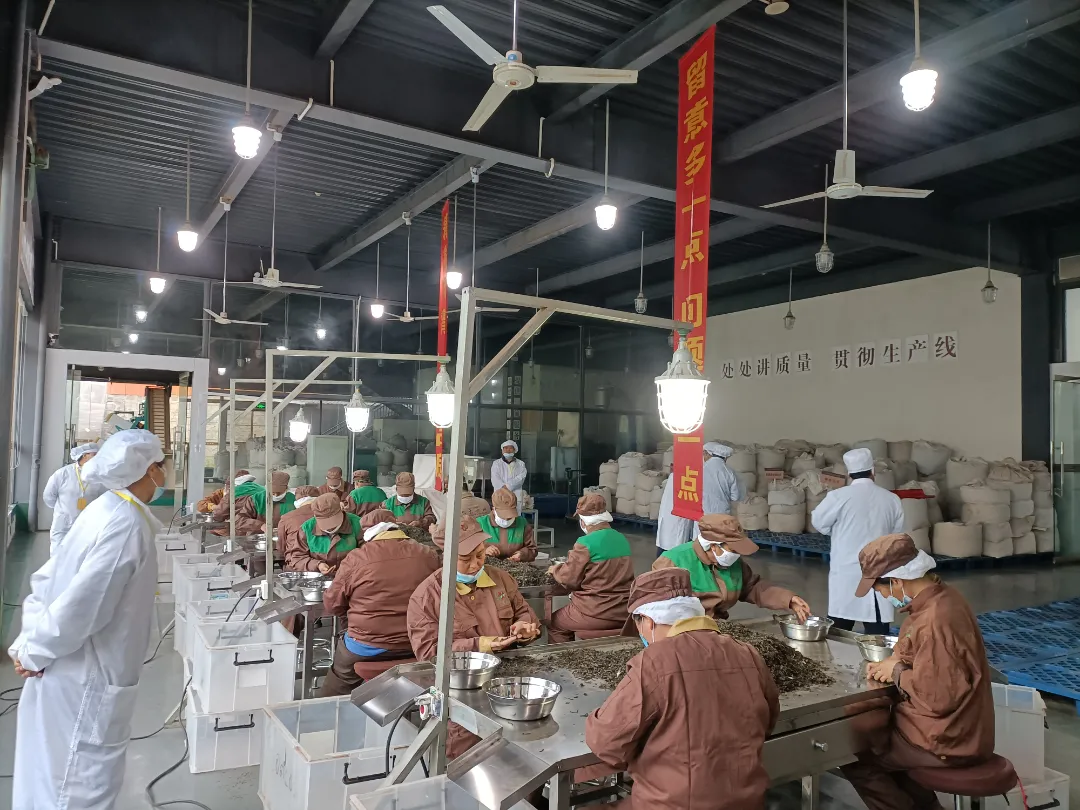 精益求精&middot;鑄造品質(zhì)｜六大茶山第十四屆技術大比武圓滿完成