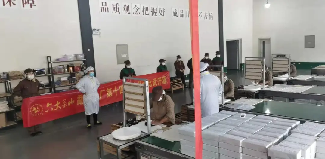 精益求精&middot;鑄造品質(zhì)｜六大茶山第十四屆技術大比武圓滿完成