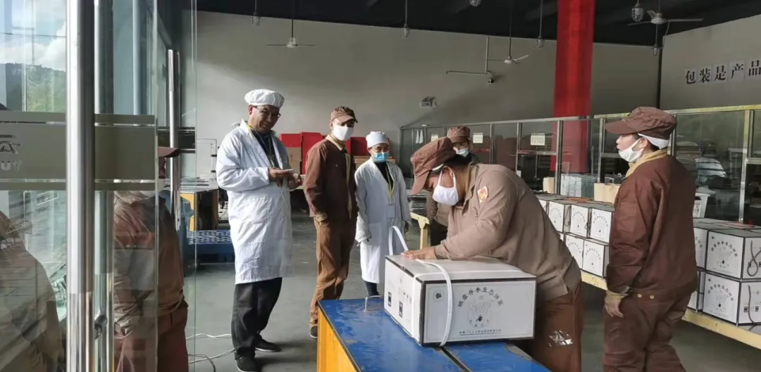 精益求精&middot;鑄造品質(zhì)｜六大茶山第十四屆技術大比武圓滿完成